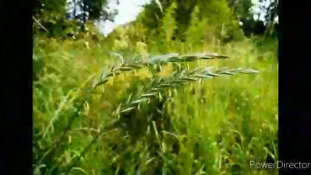Поможем природе