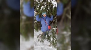 группа садко ромашки для наташки