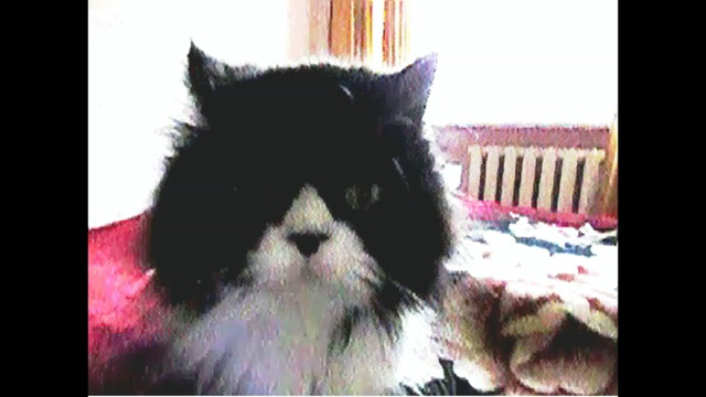 ЗОСЯ-ФИЛЬМ смотреть онлайн