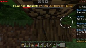 выживание на скайблоки в Майнкрафт