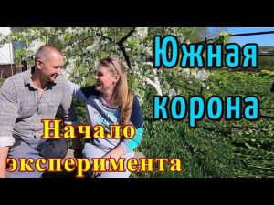 КОМБИКОРМ ЮЖНАЯ КОРОНА. Начало эксперимента