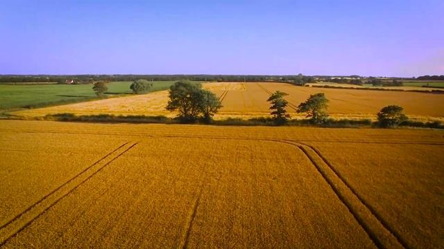 Книга "Творение". Глава 34. смотреть онлайн