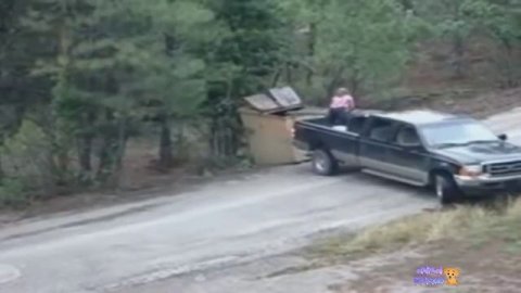Люди приходят на помощь  Добрые поступки человека  720p