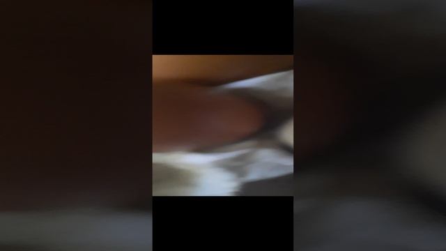 магия