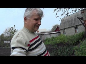 ПОМИДОРЫ ЗАВТРА ЗАЦВЕТУТ .
