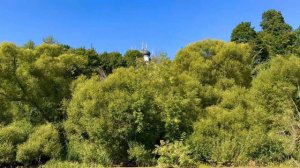 Сплав на sup, река Протва, сентябрь