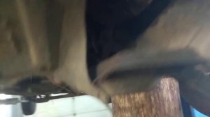 Замена подушки АКПП на Nissan March K11