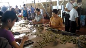 Вьетнам фабрика конфет из кокоса