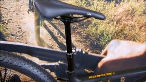 TREK Roscoe 8 2020