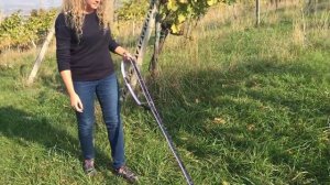 Шлейка и поводок Ferplast sport dog