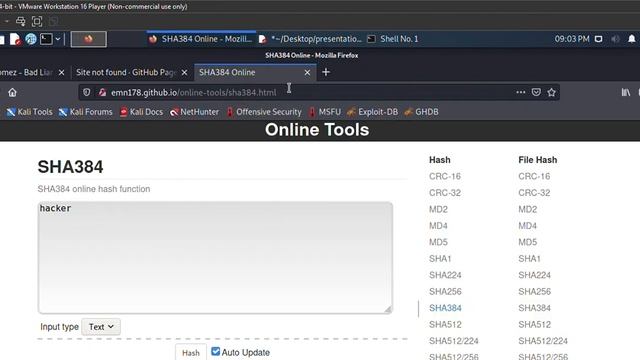 Hash - identifier смотреть онлайн
