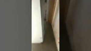 Коптильня электростатическая  Уэк-2/50  Станислав из Оренбурга