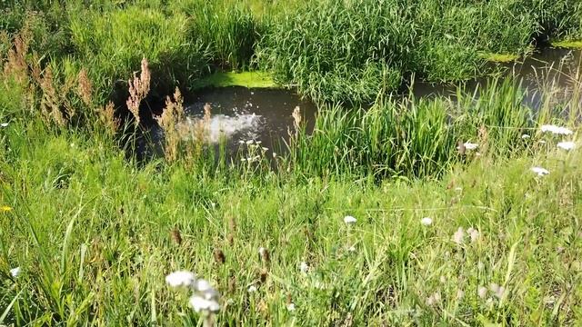 Моё любимое место для медитации под Лао Цзы смотреть онлайн