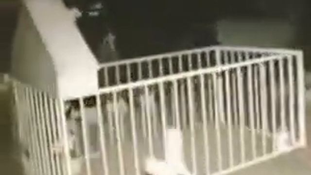 Призраки, духи, гномы, ведьмы снятые на камеру | Ghosts, Gnome, Witch, Demons смотреть онлайн