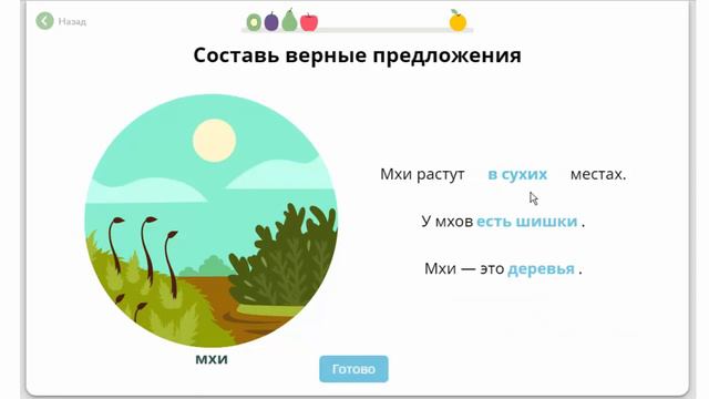 Мхи Окружающий мир