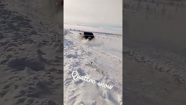 снег и настоящий quattro