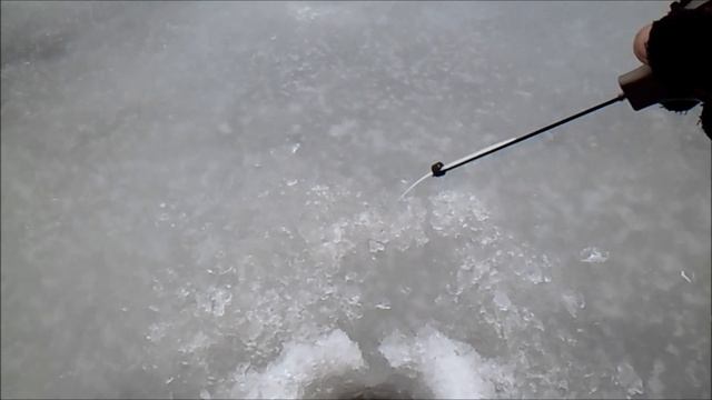 Зимняя рыбалка. Старицы реки Припять. д.Лахва(Лаховка) смотреть онлайн