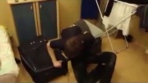 Шалфей   предсказатель.(Полный конец мозгам).