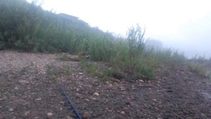 Рыбалка с друзьями. Рыбалка на поплавок. Ловля пискаря