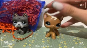 lps распаковка/unboxing редких