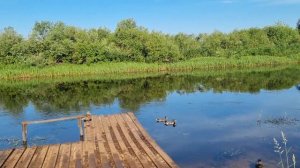 Река Березина в Борисове. Санаторий "Березина"