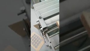 Валковый пресс ВМ-650