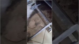 котёл Магнум 20 квт. качество угля ч. 1