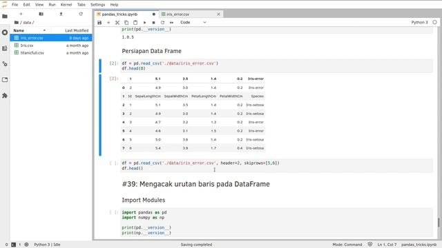 Pandas 38 | Parameter header dan skiprows pada read_csv | Python Pandas | Belajar Data Science