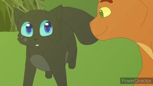 Клип:Коты-воители {Пепелица}[Песня:"Девочка танцуй"]