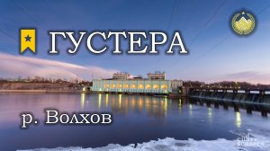 ✮ р. Волхов ✮ Густера ✮ Русская рыбалка 4 ✮