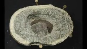 Чертов палец камень