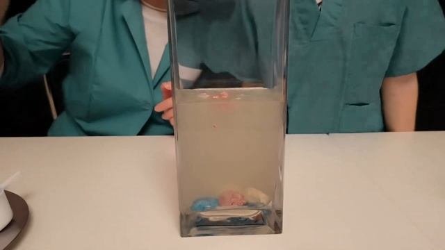 ЭКСПЕРИМЕНТ / ОПЫТ. КОРАЛЛОВЫЙ САД / ХИМИЧЕСКИЕ КОРАЛЛЫ. Играем в сотрудников лаборатории.