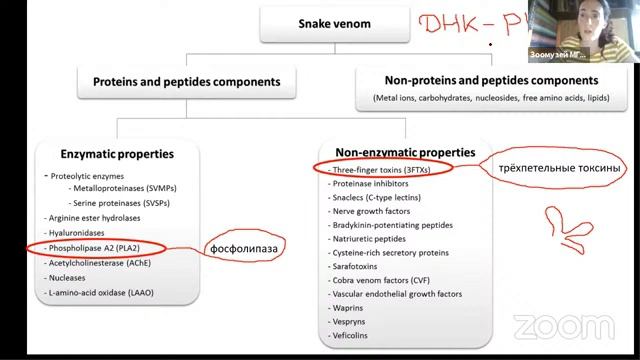 Яды рептилий смотреть онлайн
