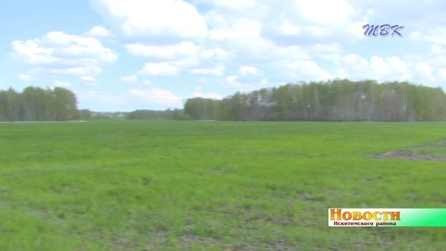 В Искитимском районе оценили ход весенне-полевых работ смотреть онлайн