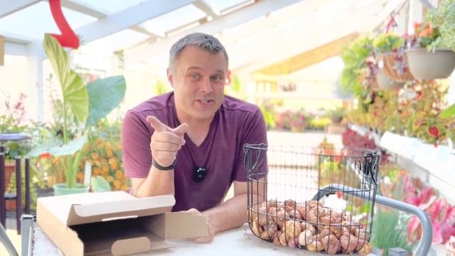 Getting my gladiolus in the ground! смотреть онлайн