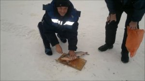 Мыс каменный. Вахта март 2016.