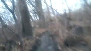 ВОГ 17. Повезло....