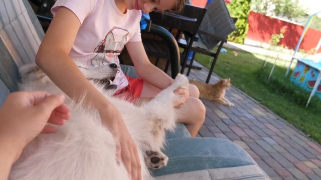 VLOG Наконец-то мы его собрали смотреть онлайн