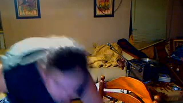 face tracking, logitech orbit смотреть онлайн