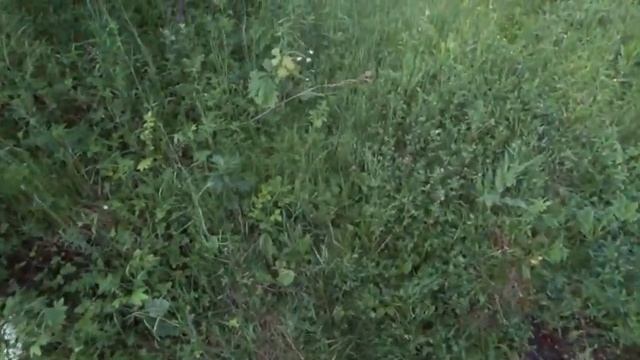 ИЮНЬ - НА РЫБАЛКУ ПЛЮНЬ. ТАК ЛИ ЭТО? смотреть онлайн