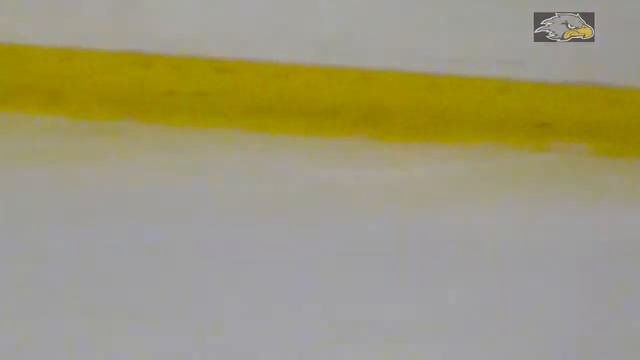 Колпинские Ястребы (ХКД-2004) - Серебряные Львы смотреть онлайн