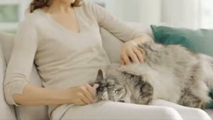 Реклама Корм Purina ONE