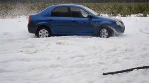 Логан в зимнем лесу по снегу