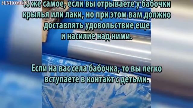 К чему снятся Бабочки сонник, толкование сна смотреть онлайн