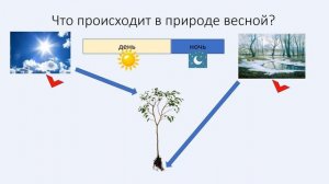 Растения весной.Развивающее видео для детей.