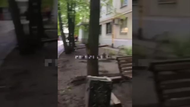 Нарко агрономы)))