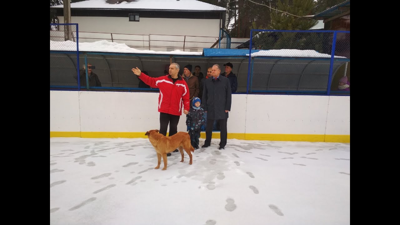 Зал чемпион звягино