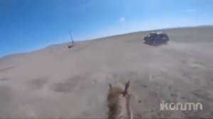 Национальные скачки на лошадях в Монголии. Праздник Надом