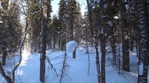 2/2. Зимний одиночный маршрут. Возвращение, по тайге на Буране, кадры, изба АБВГАТа.