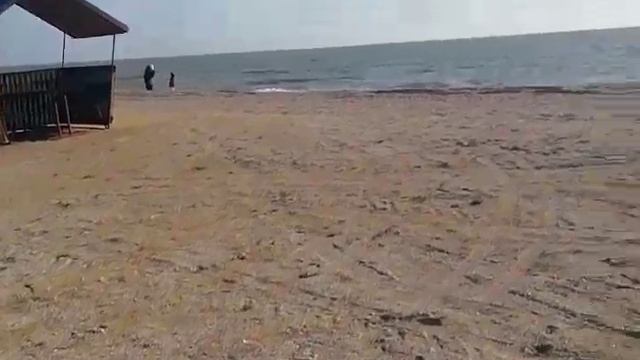 Казачий берег, Должанская коса, Серф приют. Обзор от первого лица